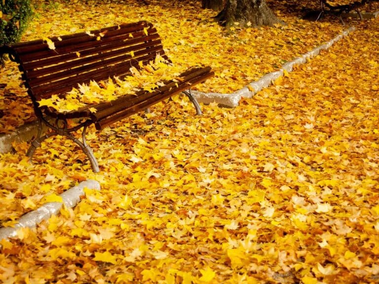 giardino condominiale