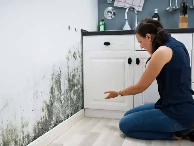 Responsabilita da cose in custodia